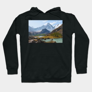 Mountain and wolf Hoodie